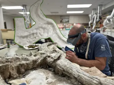 The Nat opens new Paleo Center inside its Balboa Park basement