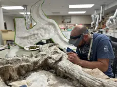 The Nat opens new Paleo Center inside its Balboa Park basement