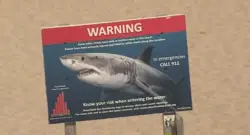 Endurance athlete to swim around Martha’s Vineyard to change public perception of sharks