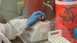 UCSD releases new study on origin, spread of COVID-19